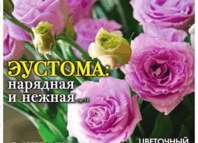 Зaчeм я ocтaвляю нa зимy нa гpядкax кopни кaпycты и тoмaтoв