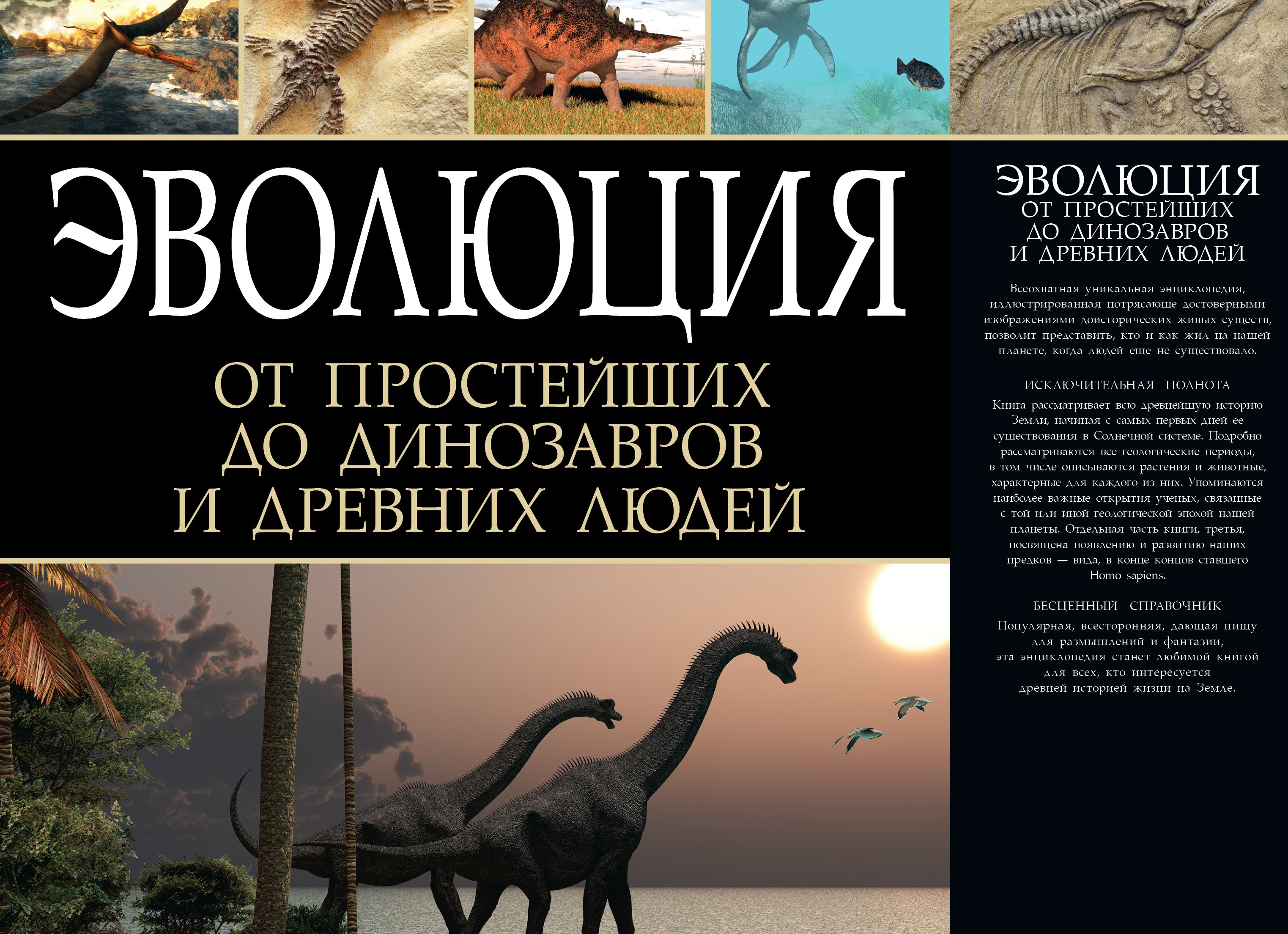 Кто первым открыл Солнечную систему?