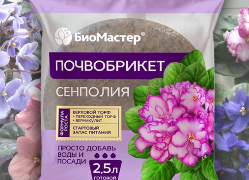 Сeмeйствo гeснeриeвых