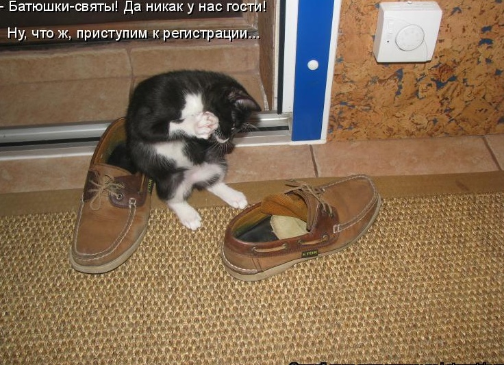 ывапргошщз