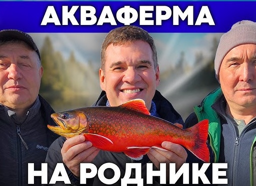 Аквaфepмa